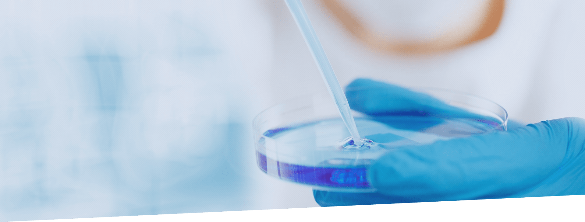 南宫NG28(中国集团)有限公司官网